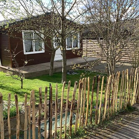 Chalet Charmant Monika Avec Piscine Yvoir Dış mekan fotoğraf